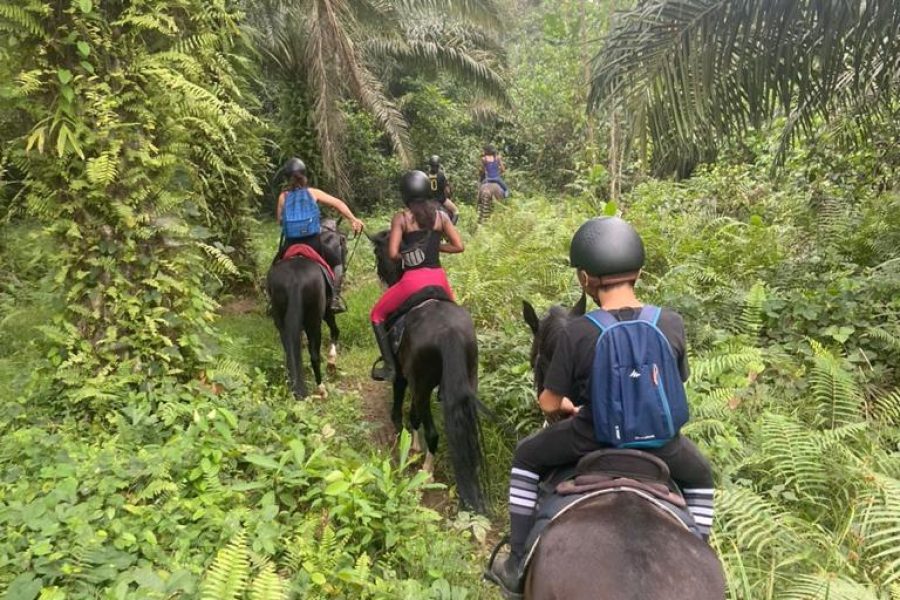 Randonnée équestre en pleine nature (niveau intermédiaire)